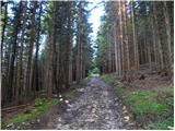 Planina Kosmačeve Rastke - Lanež